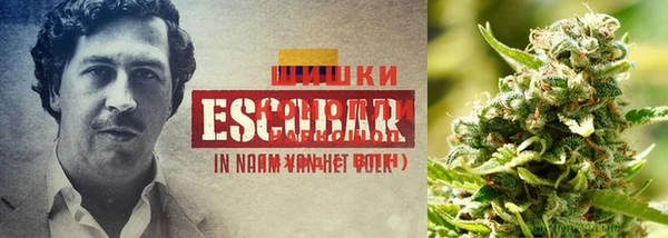 дмт Волосово