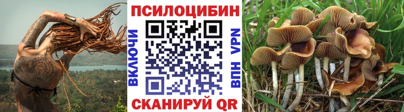Псилоцибиновые грибы MAGIC MUSHROOMS  Голицыно 